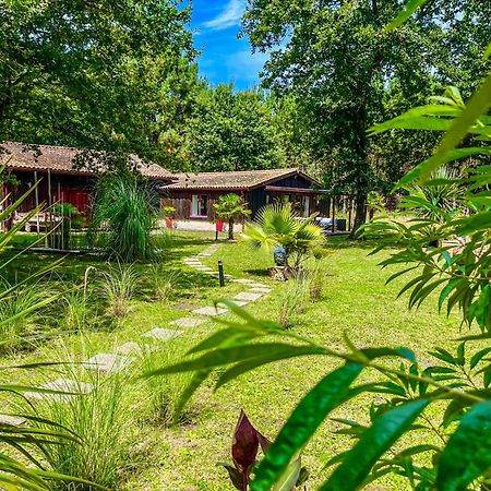 House De La Canopee, Swimming Pool, Lake, Forest, Large Garden And Wifi Hourtin Exterior foto