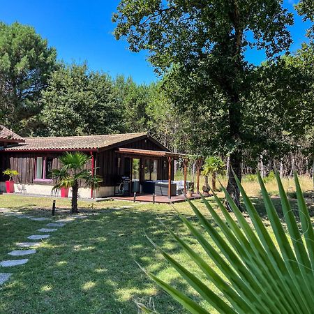 House De La Canopee, Swimming Pool, Lake, Forest, Large Garden And Wifi Hourtin Exterior foto