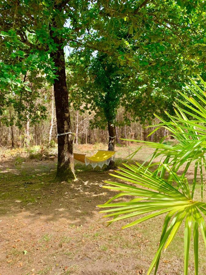 House De La Canopee, Swimming Pool, Lake, Forest, Large Garden And Wifi Hourtin Exterior foto