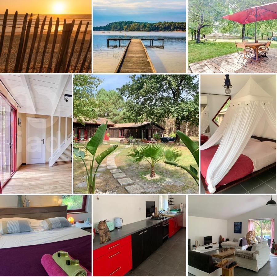 House De La Canopee, Swimming Pool, Lake, Forest, Large Garden And Wifi Hourtin Exterior foto
