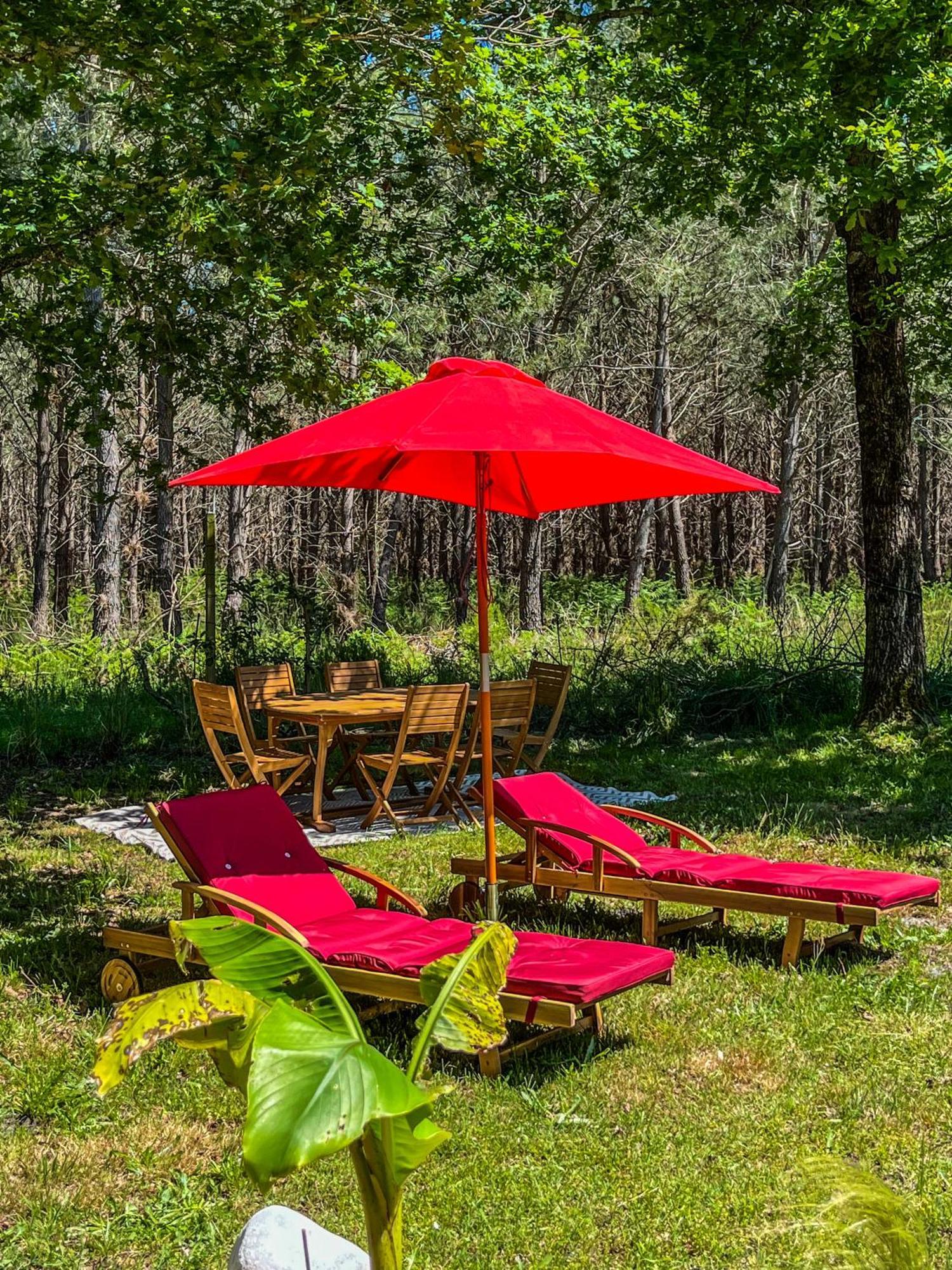 House De La Canopee, Swimming Pool, Lake, Forest, Large Garden And Wifi Hourtin Exterior foto