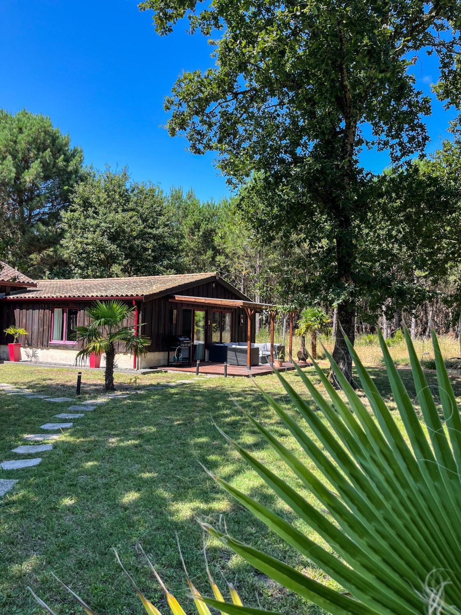 House De La Canopee, Swimming Pool, Lake, Forest, Large Garden And Wifi Hourtin Exterior foto